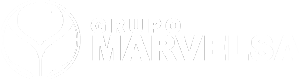 Grupo Marvelsa